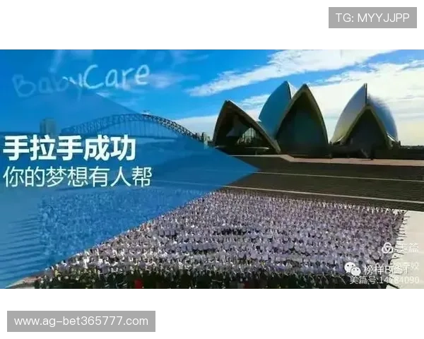 365国际平台为中小企业提供一站式国际市场入口，轻松开启海外业务